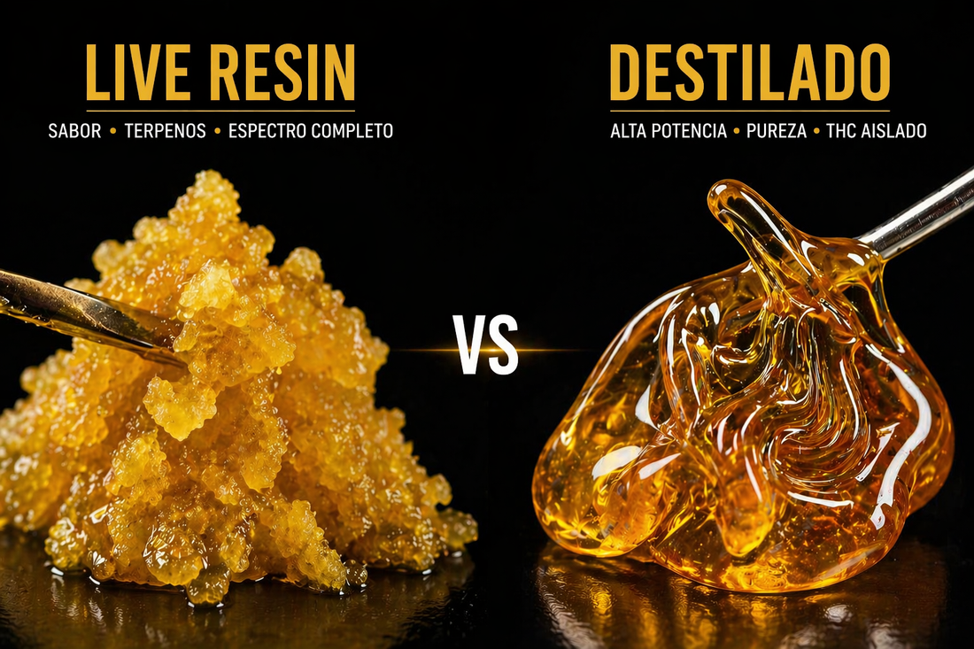 Destilado VS. Live Resin: Guía Completa para Entender las Diferencias en THC